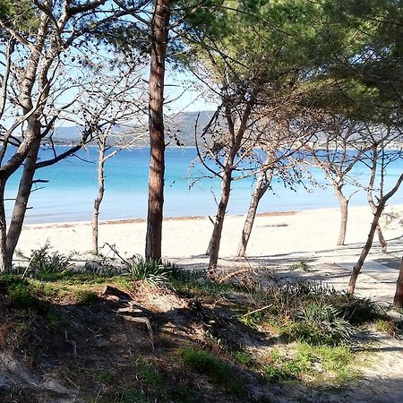 Nuovissimo Appartamento Con Terrazza Alghero Extérieur photo