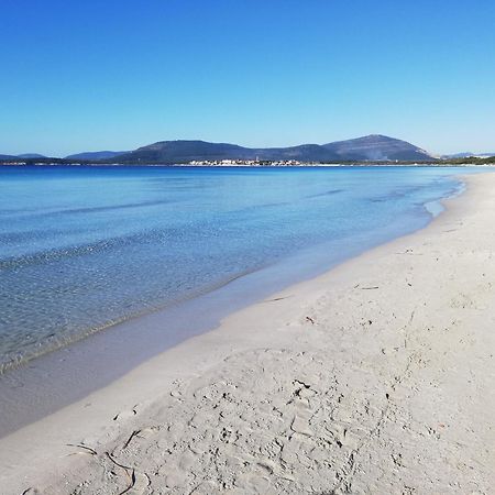 Nuovissimo Appartamento Con Terrazza Alghero Extérieur photo